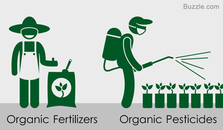 Use Organic Fertilizers and Pesticides