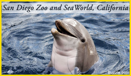 San Diego Zoo and SeaWorld, San Diego, California