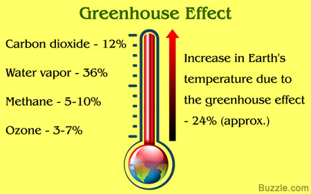 Greenhouse Effect