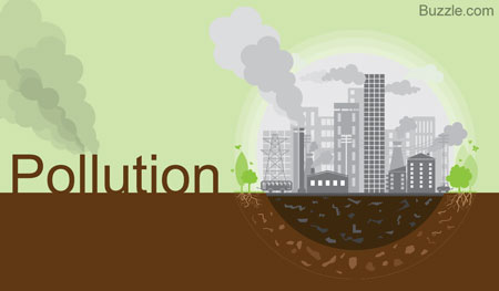 Environmental pollution Essay Sample