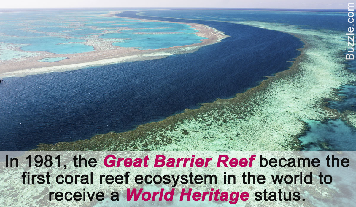 these facts about the great barrier reef reveal nature"s true