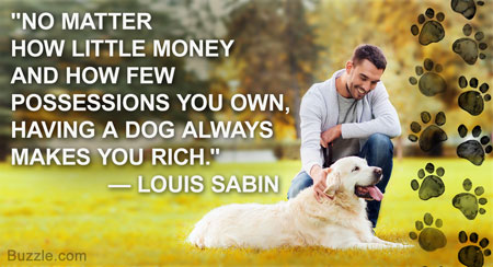 Dog quote