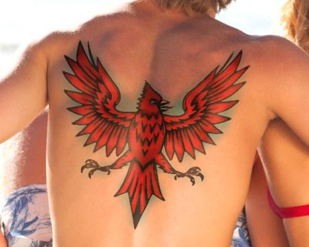 450-red-cardinal-bird-tattoo-on-back.jpg