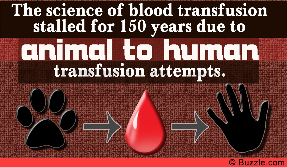 History of Blood Transfusion