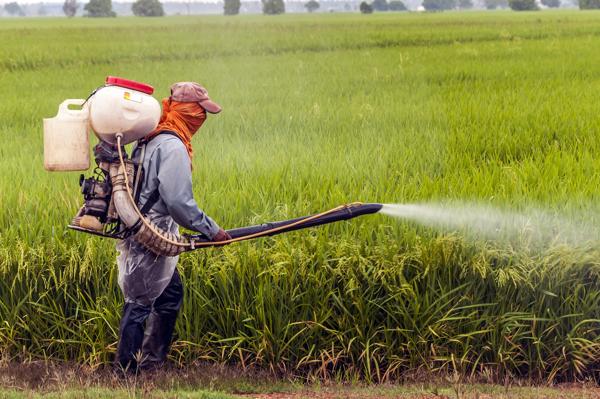 Spraying pesticides on crops