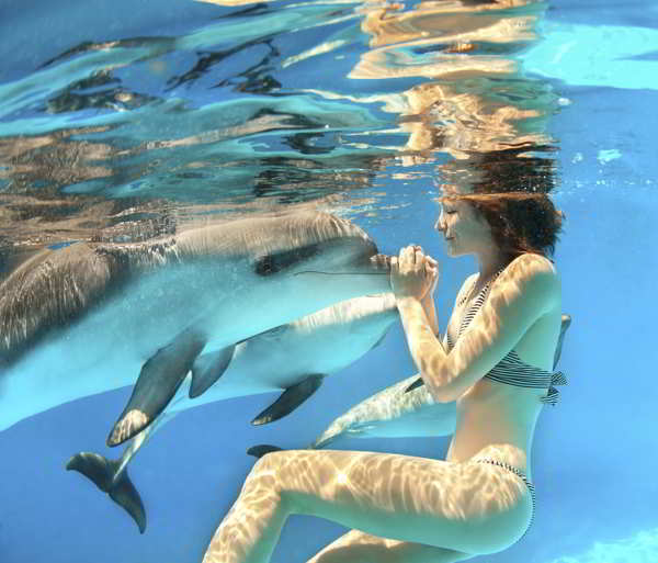 Exciting Things to Do Before You Die - Swim with the dolphins