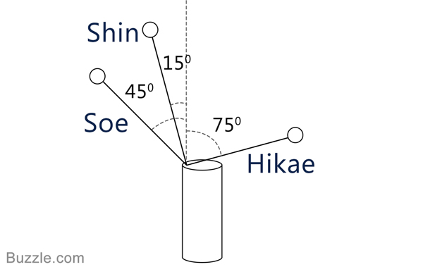 stem arrangement in ikebana