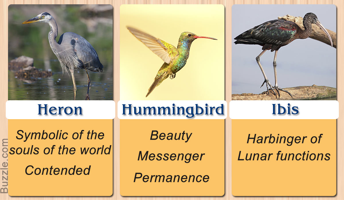 Pretty Enthralling: Bird Symbolism and Their Meanings ...
