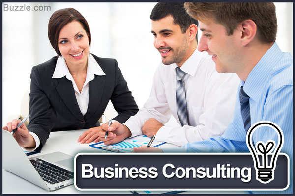 Lucrative Business Ideas - Business Consulting