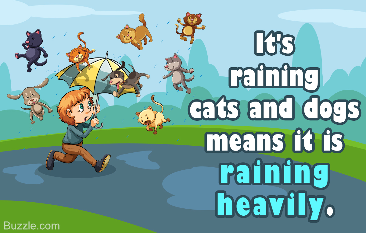 It s got run. Идиома it's raining Cats and Dogs. Rain Cats and Dogs идиома. Raining Cats and Dogs идиома. It Rains Cats and Dogs.