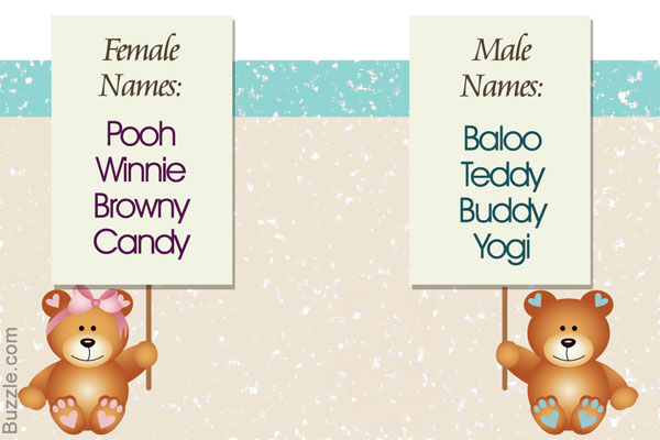 pet names for teddy