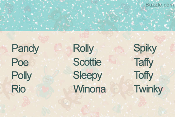 cute names to name a teddy bear