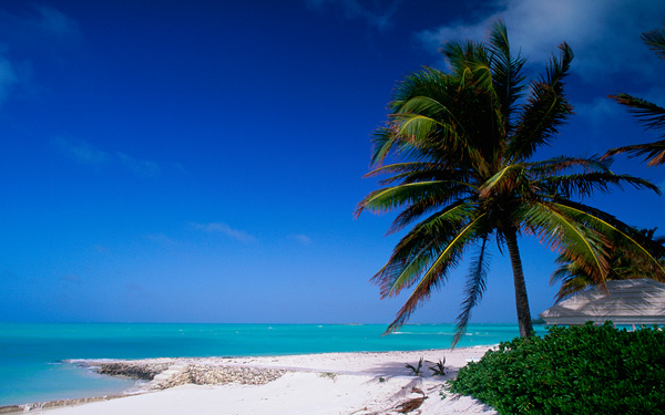 Abaco Bahamas