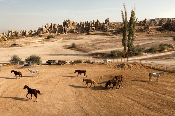 Land Of Beautiful Horses Cappadocia