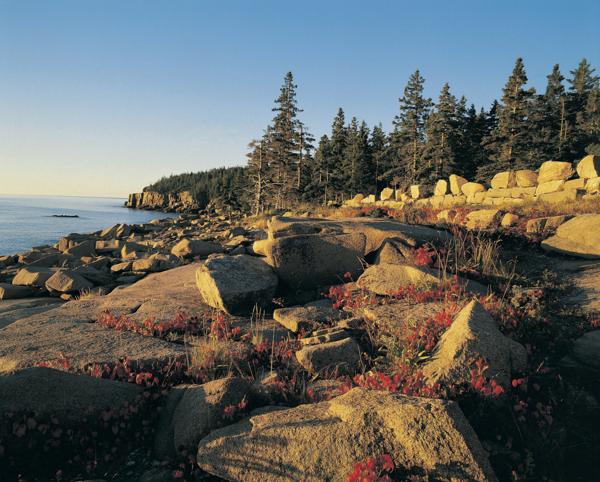 Southeast shoreline of Acadia National Park, Maine, USA
