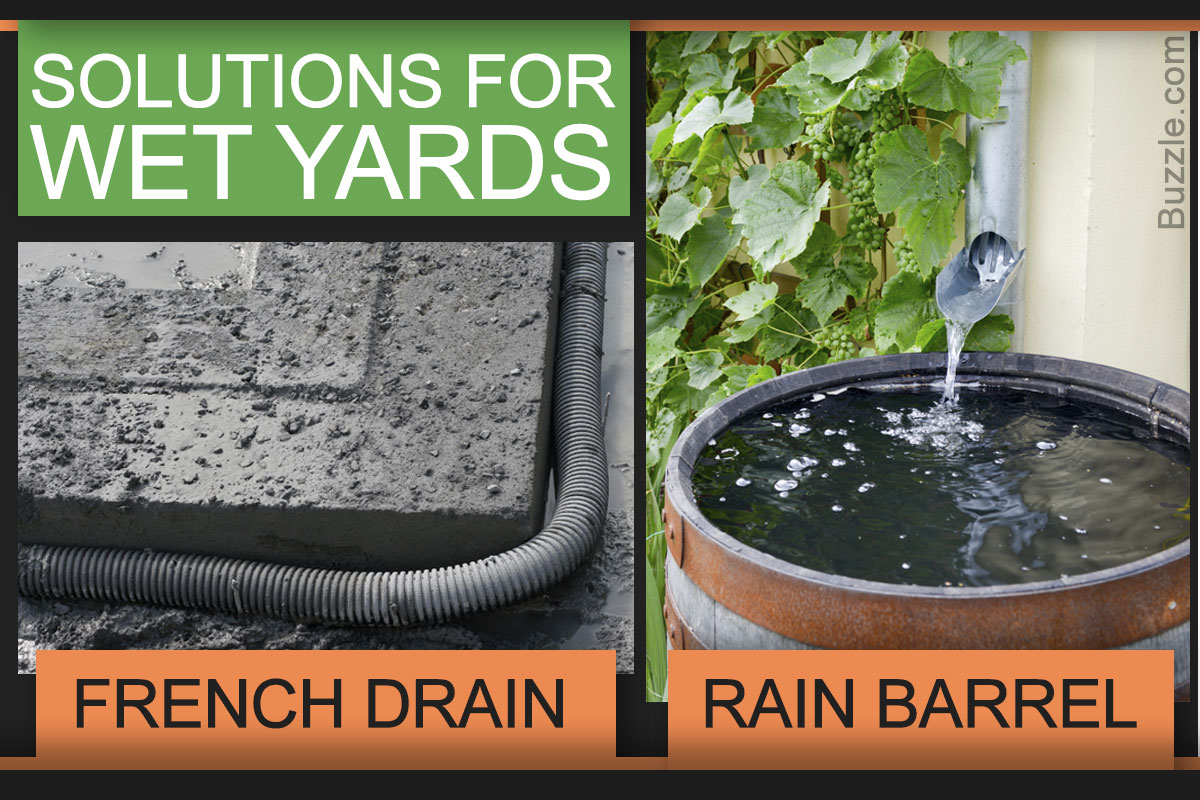Simple Drainage Solutions for Yards That You Weren't Aware ...