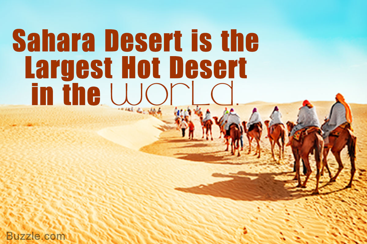 Image result for sahara desert