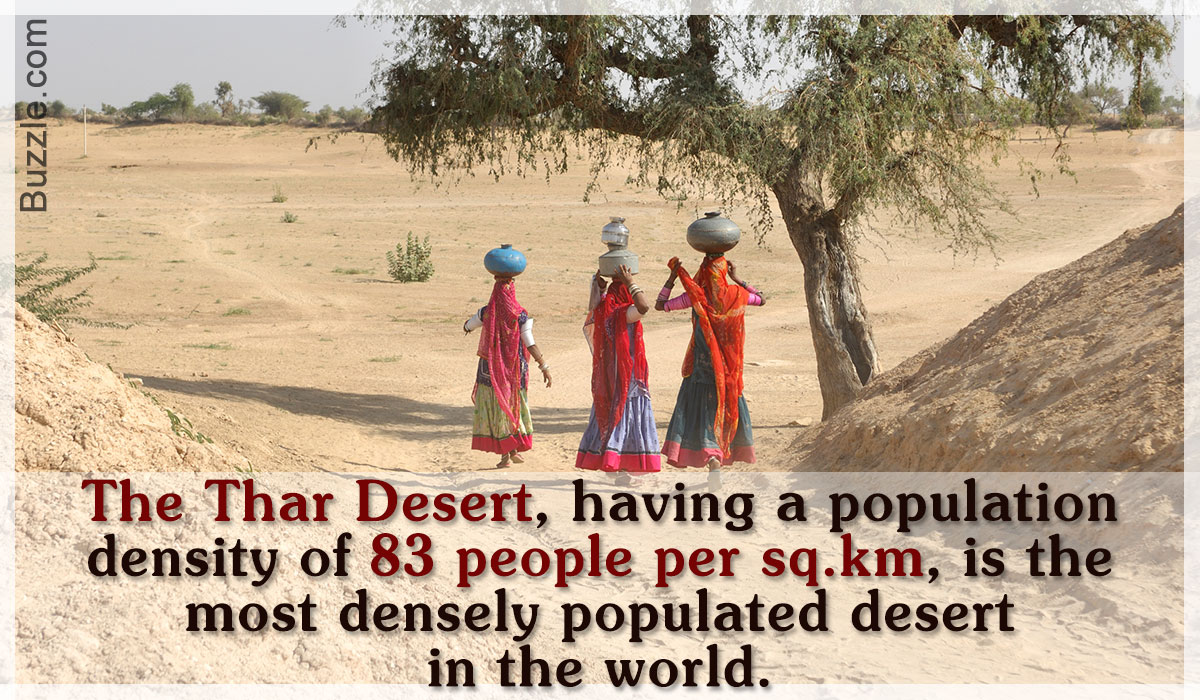 Facts About the Thar Desert