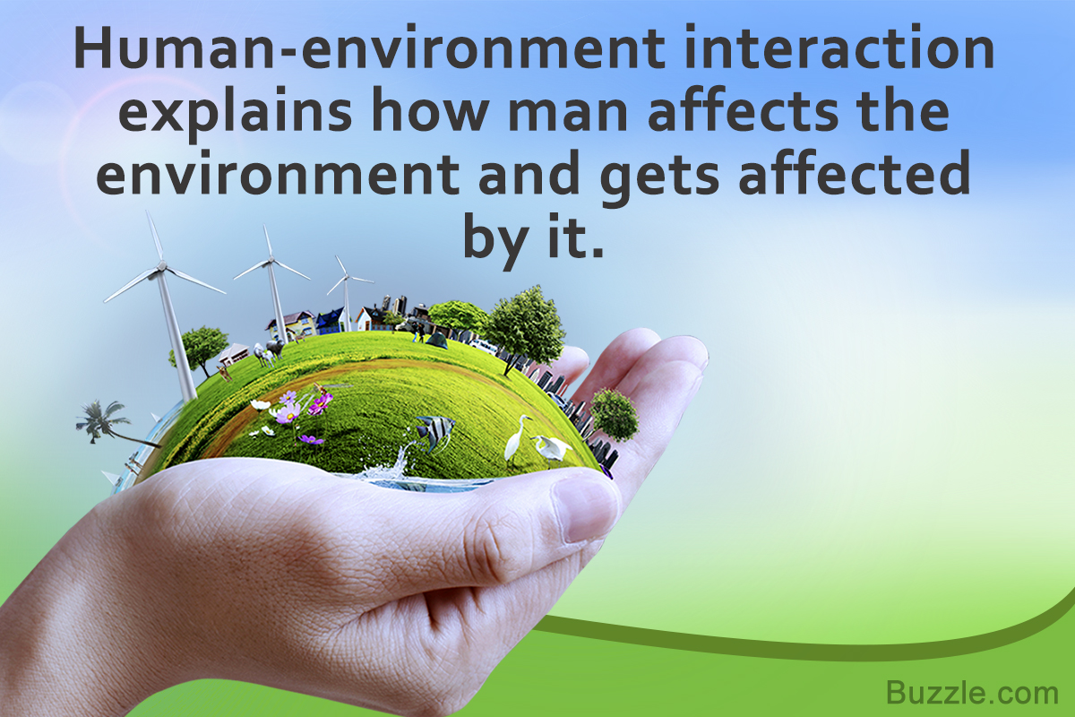human environment relationship definition