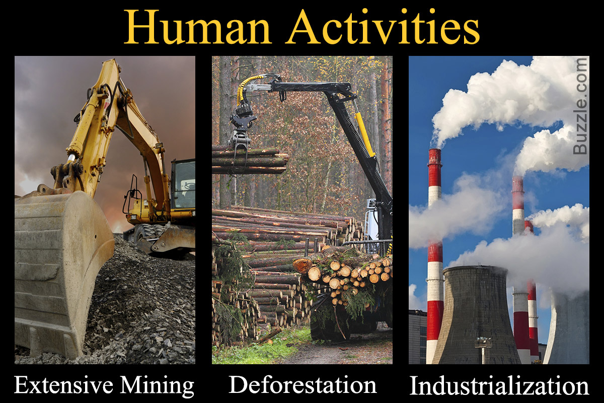 Impacts of human activities