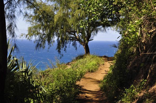 Kalalau Trail at Na Pali Coast - Kauai, Hawaii