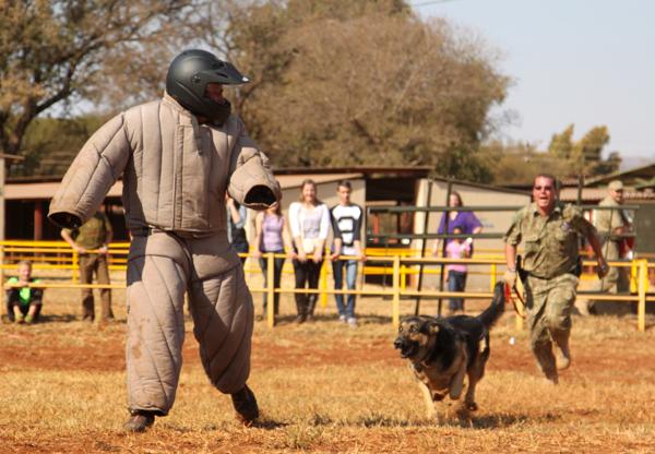 trained attack dogs