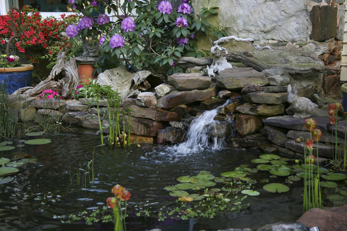 Rock Your Garden With These Unique Ideas for Landscaping ...