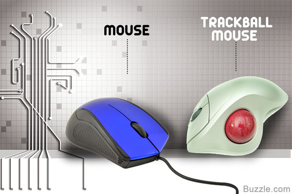 Mouse and Trackball