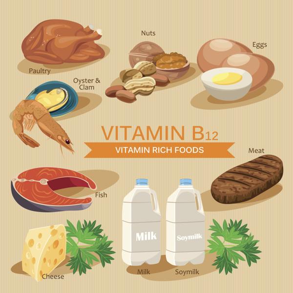 Vitamins and Minerals foods Illustration. Vitamina B12