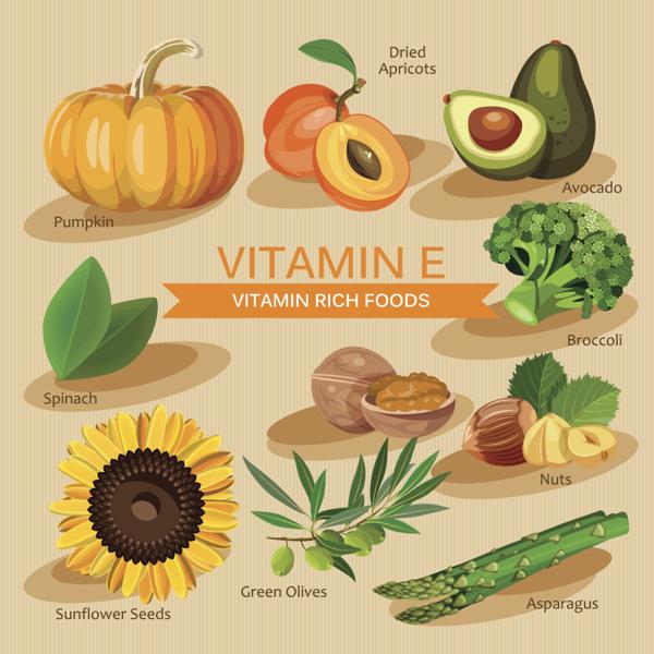 Vitamins and Minerals foods Illustration. Vitamin E