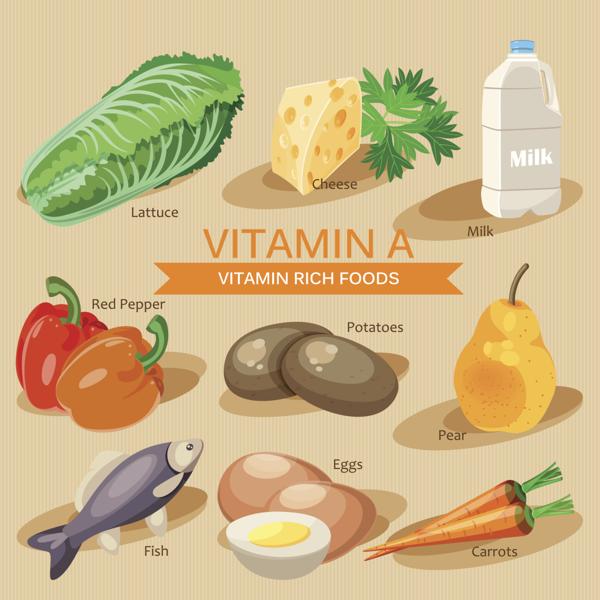 Vitamin A. Groups of healthy foods