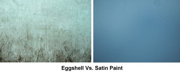 Eggshell Satin Paint