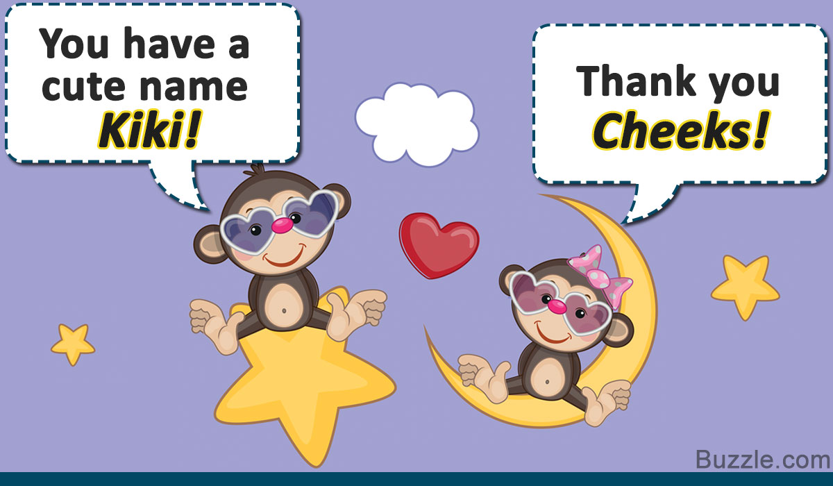 Cute And Funny Pet Monkey Names You Ll Want To Steal Right Now
