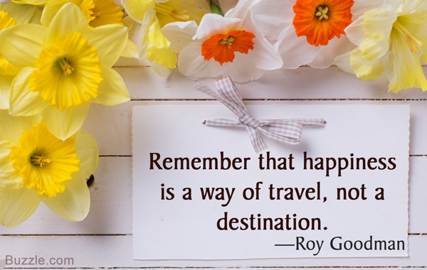Remember that happiness is a way of travel, not a destination. - Roy Goodman