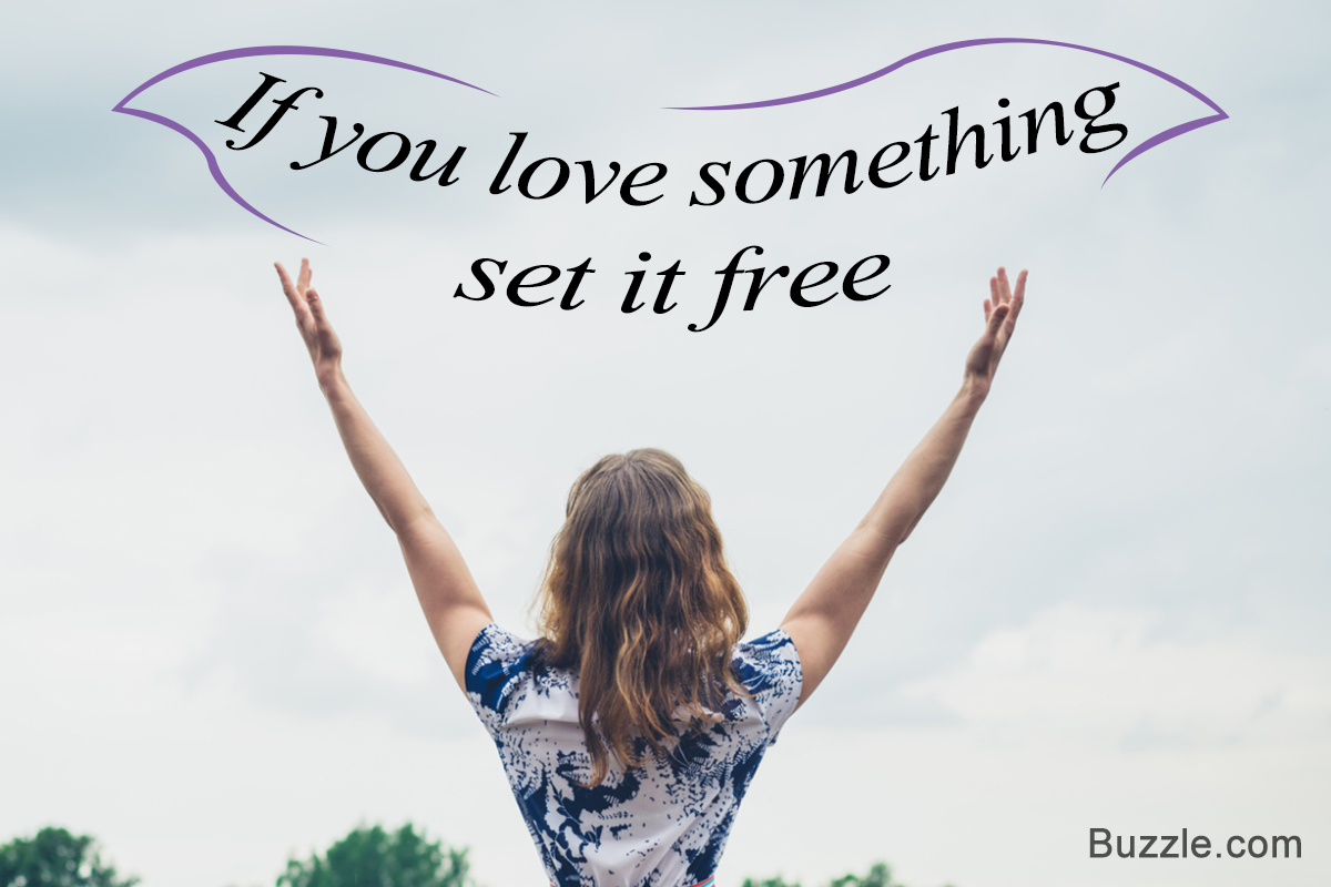 If you love something set it free