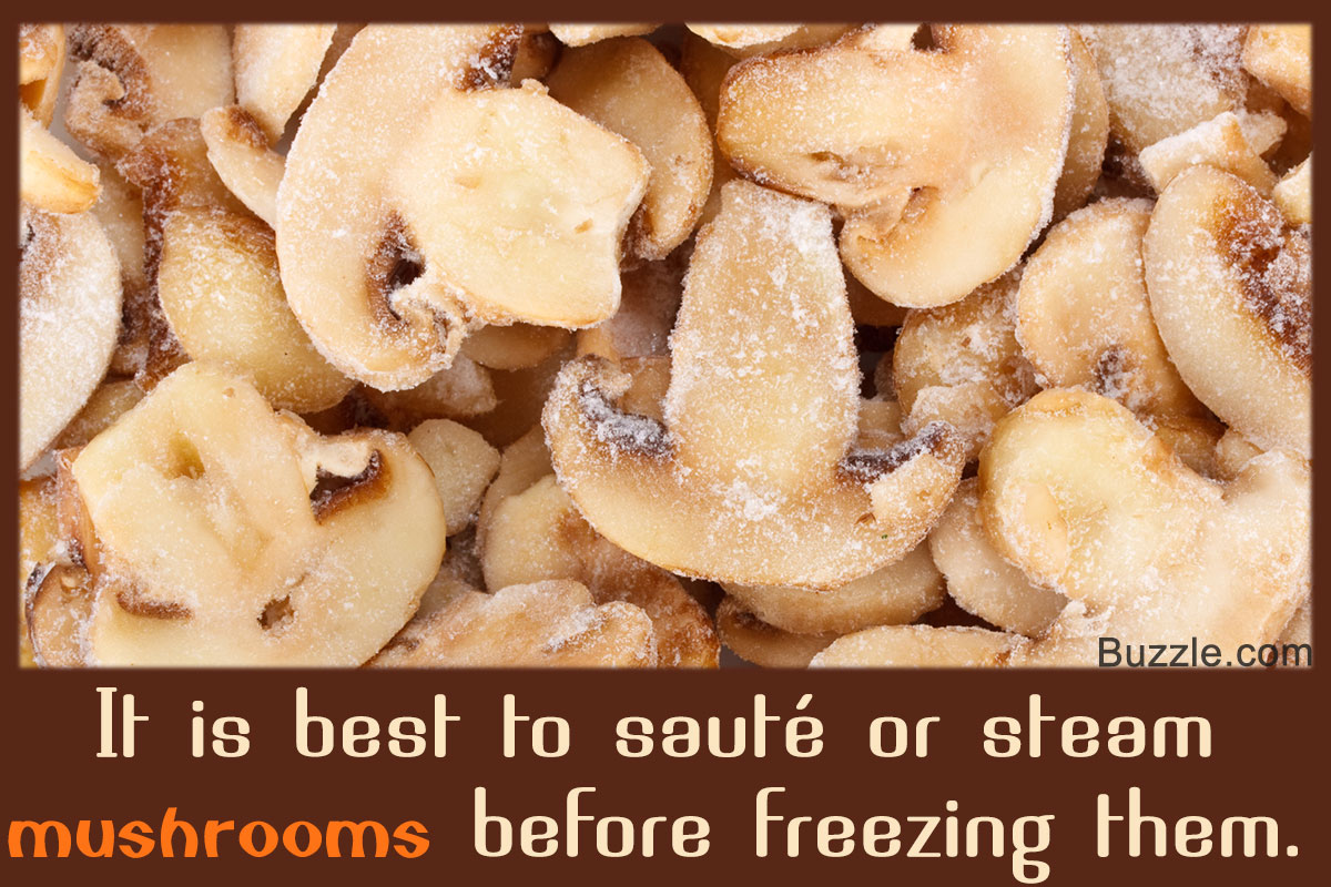 The Ultimate Guide On How To Freeze Mushrooms For Preservation Tastessence,Travel Bar Kit