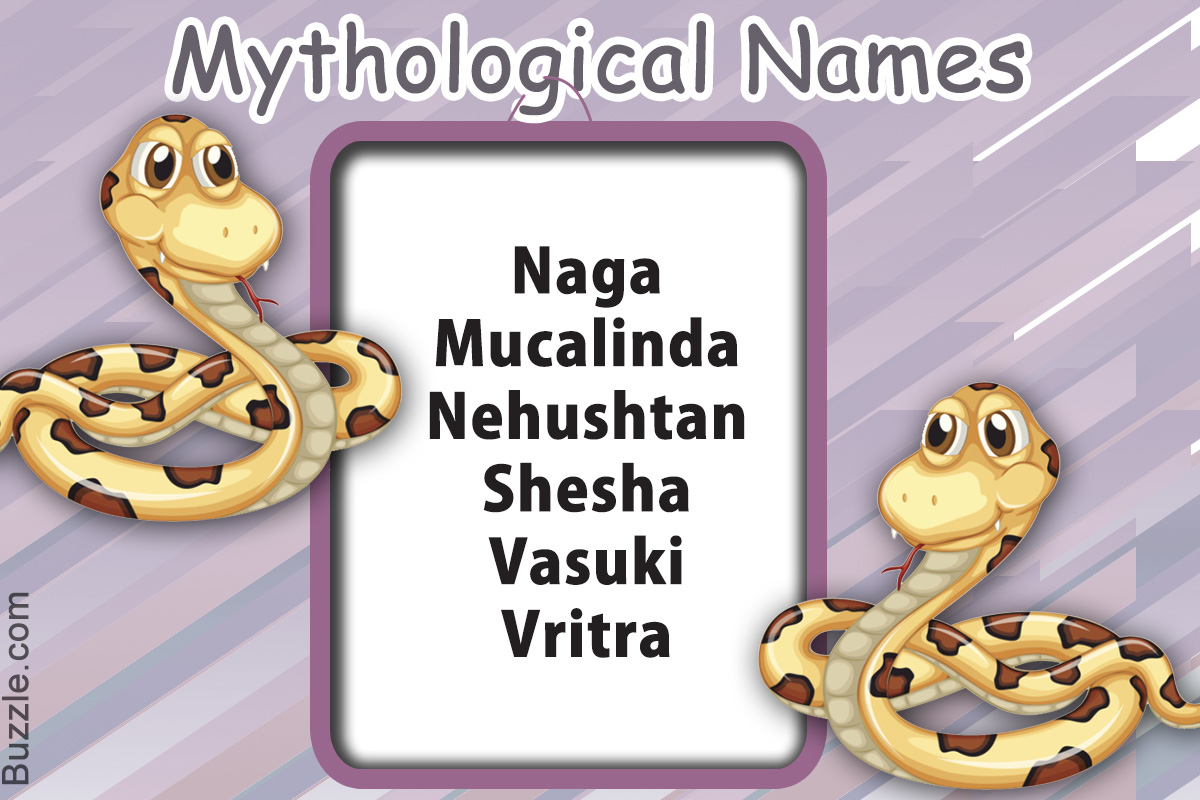 Youll Love These Cute And Funny Names For Your Pet Snake - cool names boys snakes