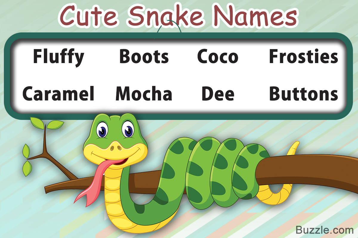 Youll Love These Cute And Funny Names For Your Pet Snake - cool names boys snakes
