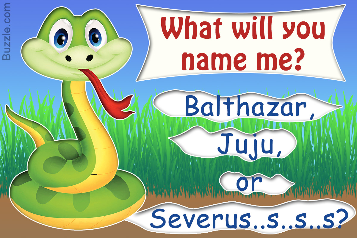 Snakes names