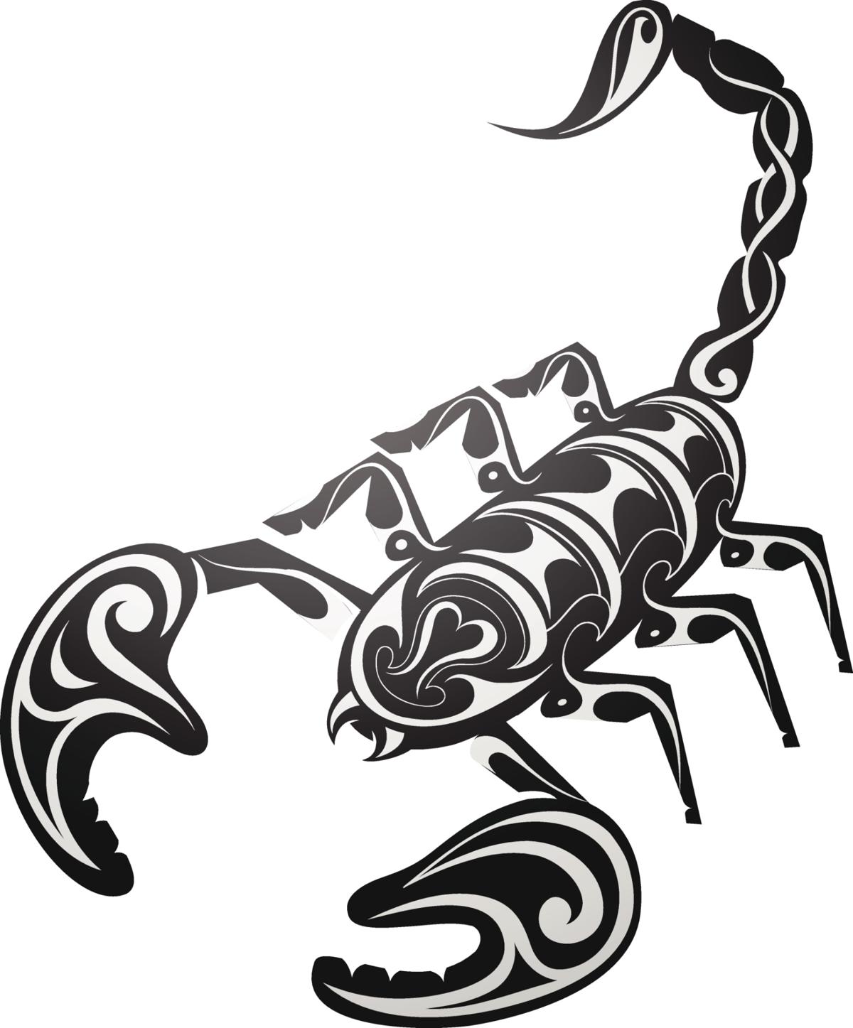 Majestic Tribal Scorpion Tattoos That Will Make Heads Turn