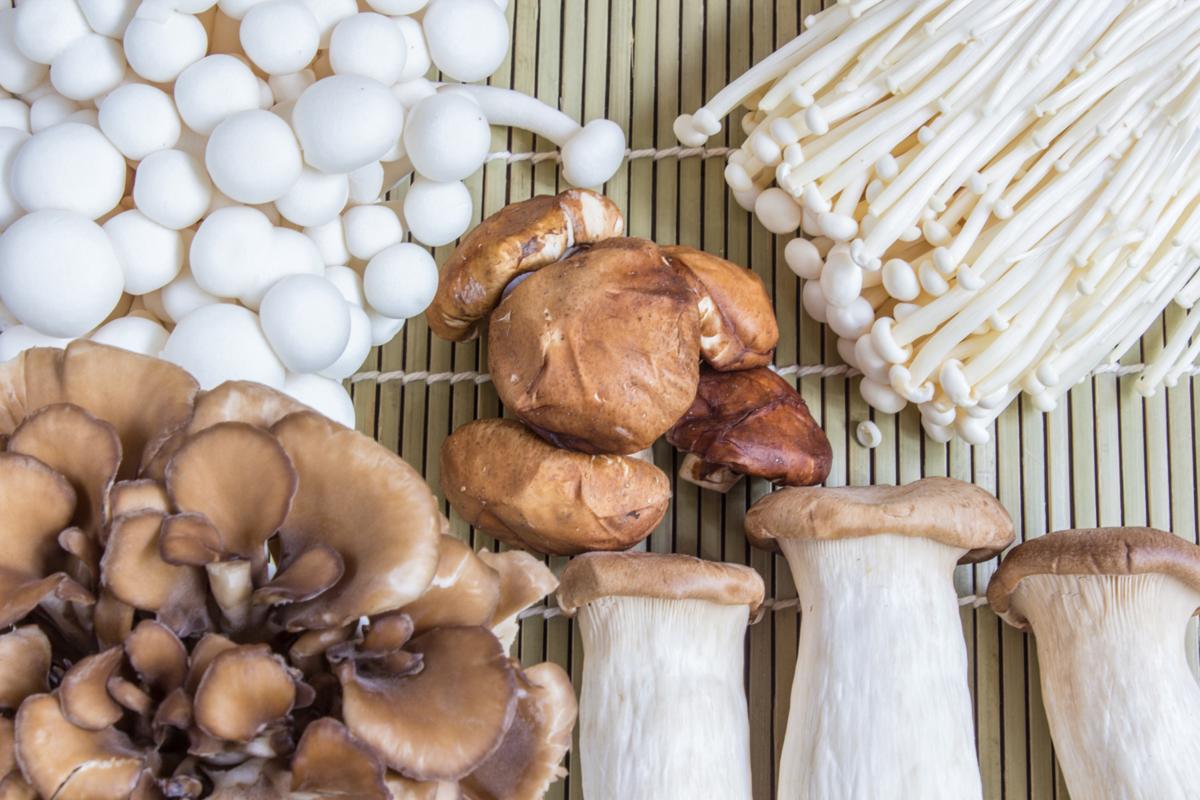 The Ultimate Guide On How To Freeze Mushrooms For Preservation Tastessence,Prairie Dog Hole