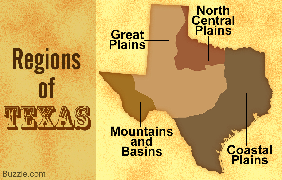 Information About the 4 Regions of Texas