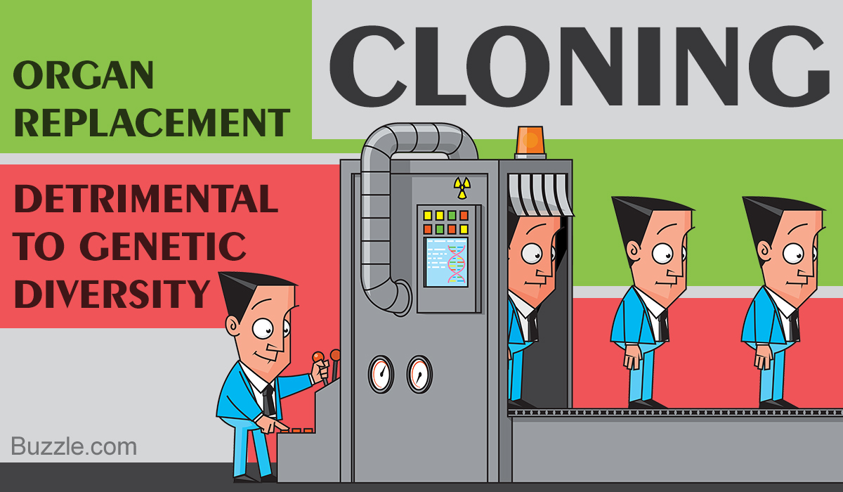 The Pros And Cons Of Cloning