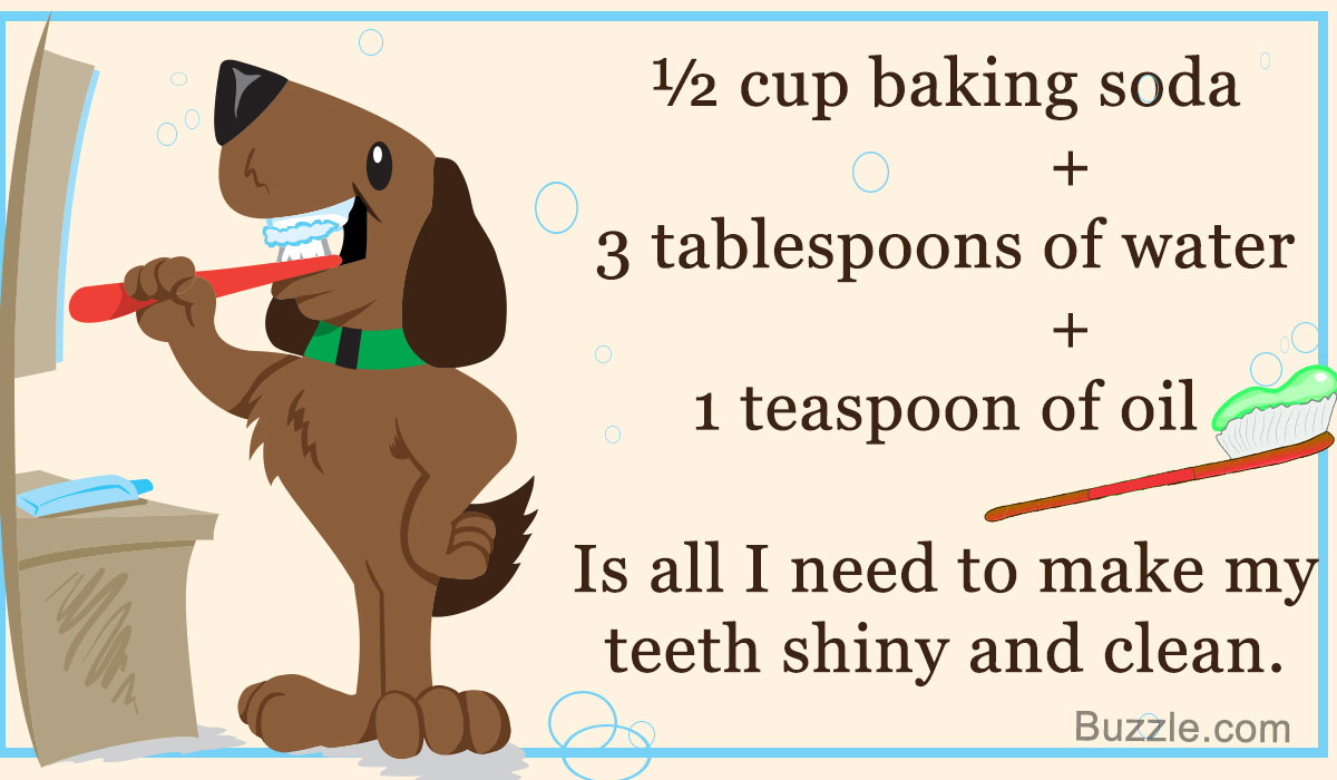 Make Toothpaste for Your Dog 