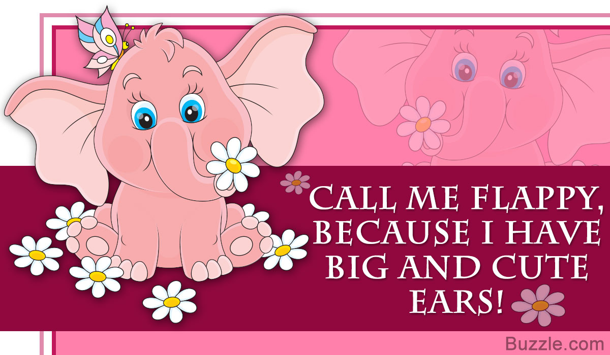 Extremely Cute And Funny Names For Your Baby Elephant Pet Ponder