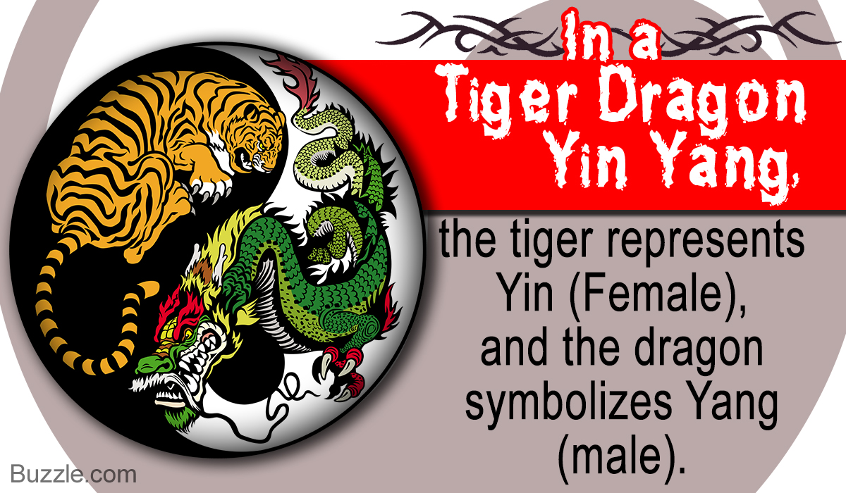 What Does A Tiger Dragon Yin Yang Symbolize