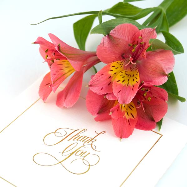 Thank you note with red flowers