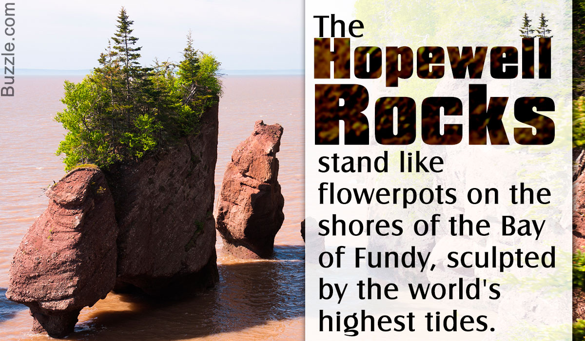 Interesting Facts about the Bay of Fundy