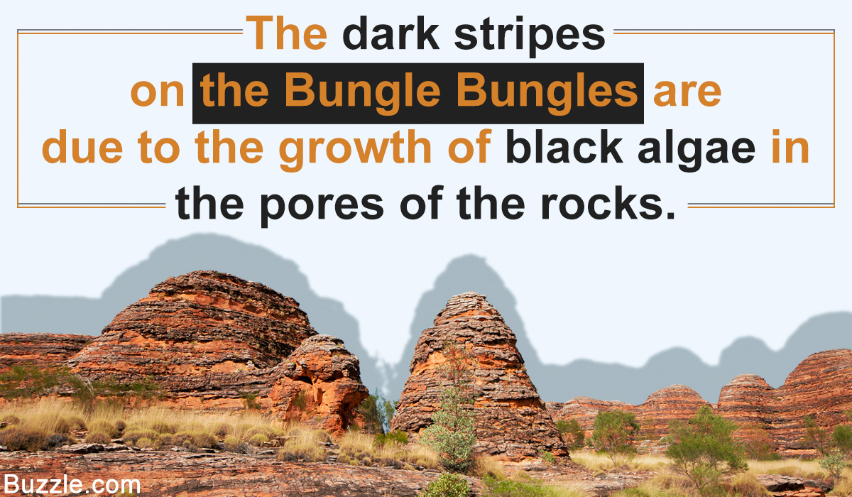 Interesting Facts About the Bungle Bungles