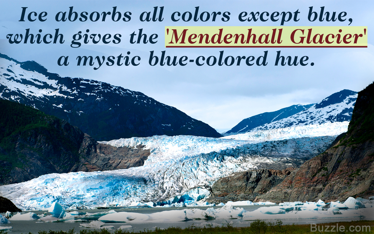 Interesting Facts About the Mendenhall Glacier